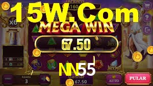 VIP Casino NN55