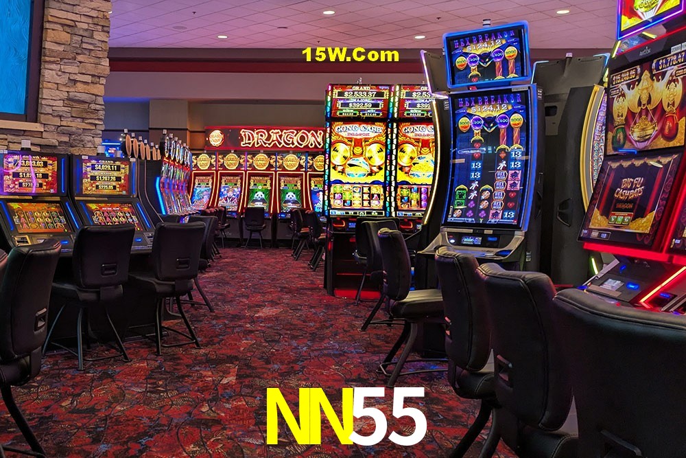 Experiência VIP NN55